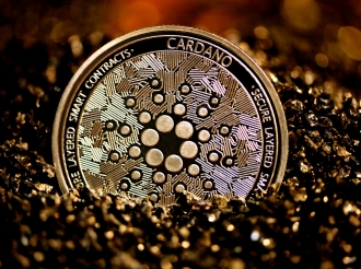 Cardano creator prepares rally in support of crypto industry