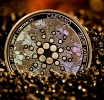 Cardano creator prepares rally in support of crypto industry