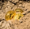 Bitcoin’s Future Uncertain as SEC Considers Rejecting Bitcoin-ETF Approval