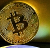 Whales in the Cryptocurrency World Stop Buying Bitcoins: What Does It Mean for the Market?