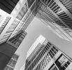 The Role of White Label Solutions Programs on Forex Trading