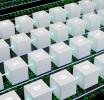 The Convergence of Cryptocurrency and Forex Markets