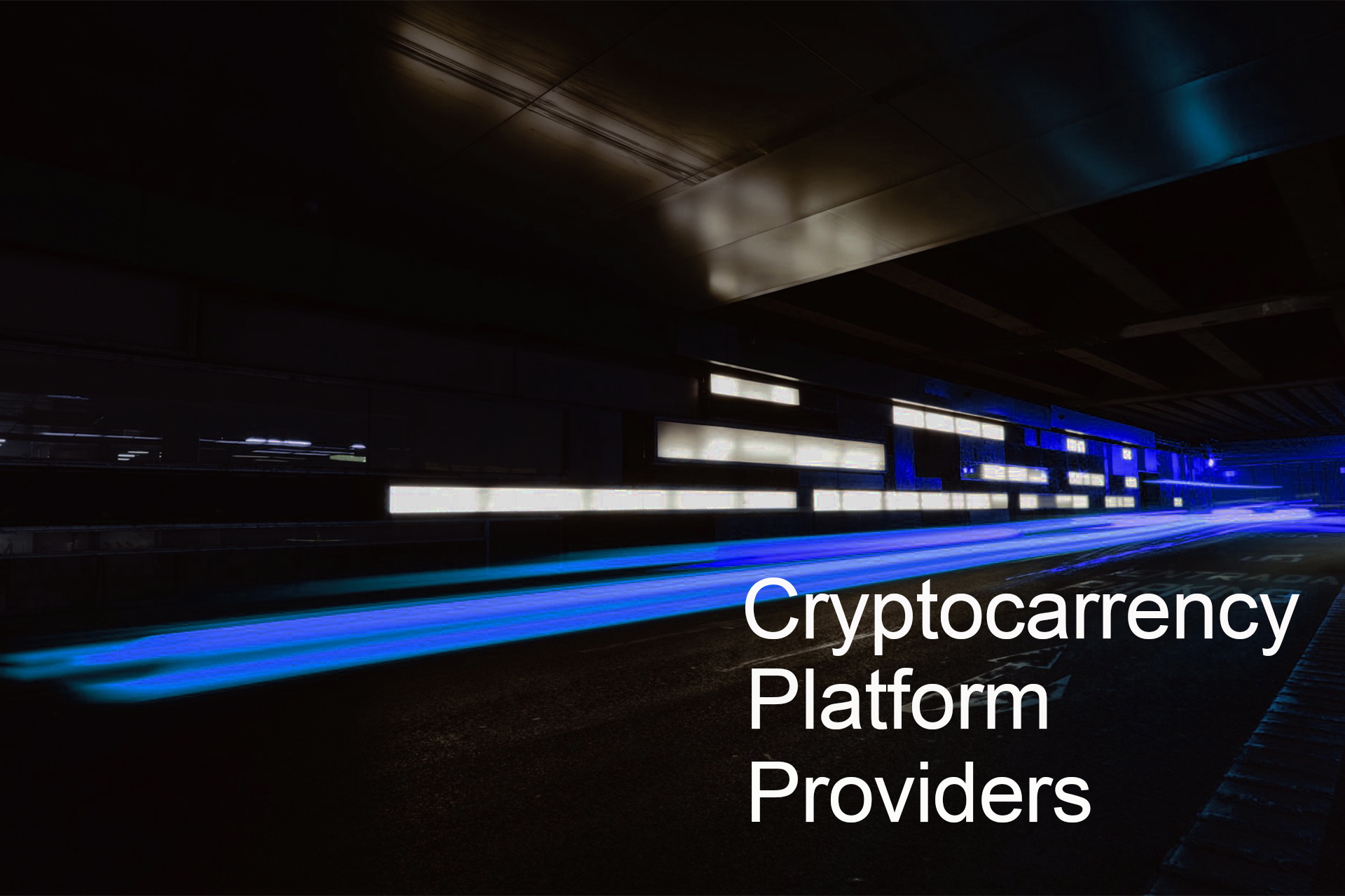 Cryptocurrency Platform Providers