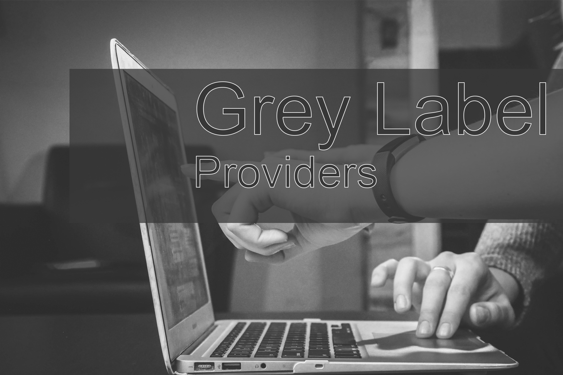 Tailoring Your Forex Business with Grey Label Providers