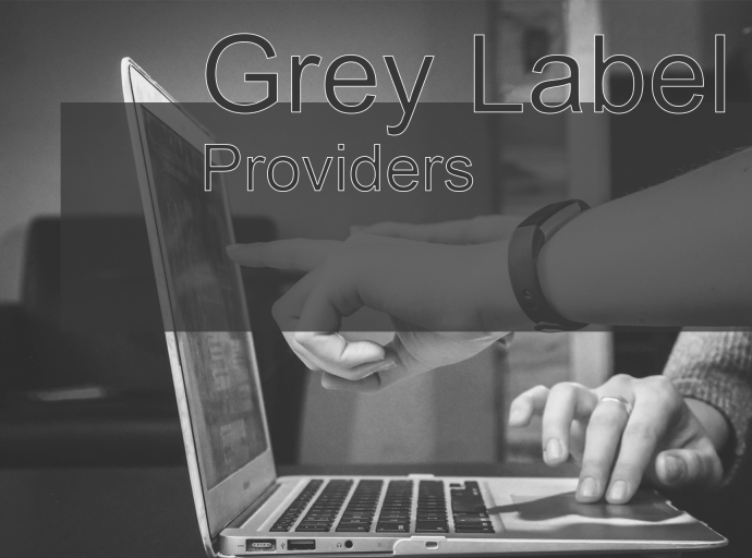 Tailoring Your Forex Business with Grey Label Providers