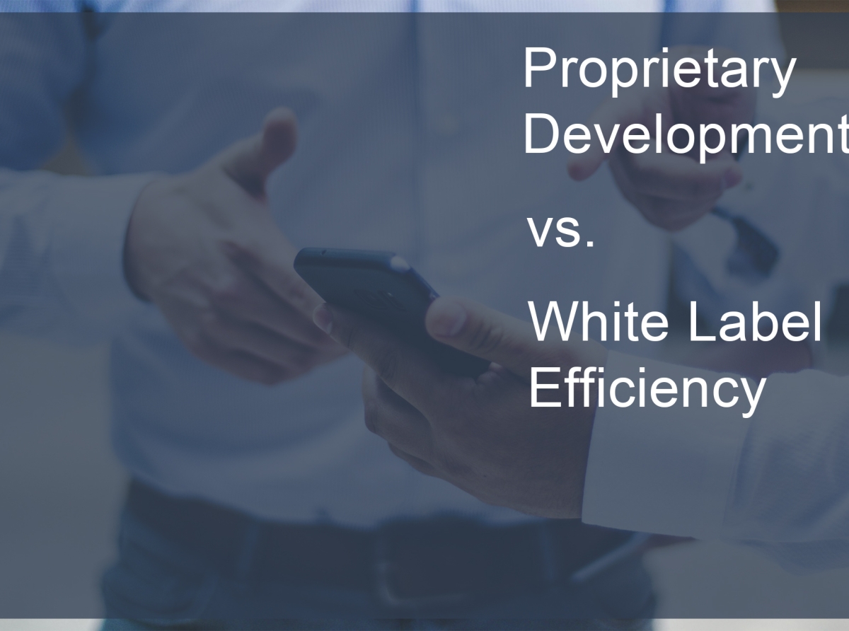 Forex: Proprietary Development vs. White Label Efficiency