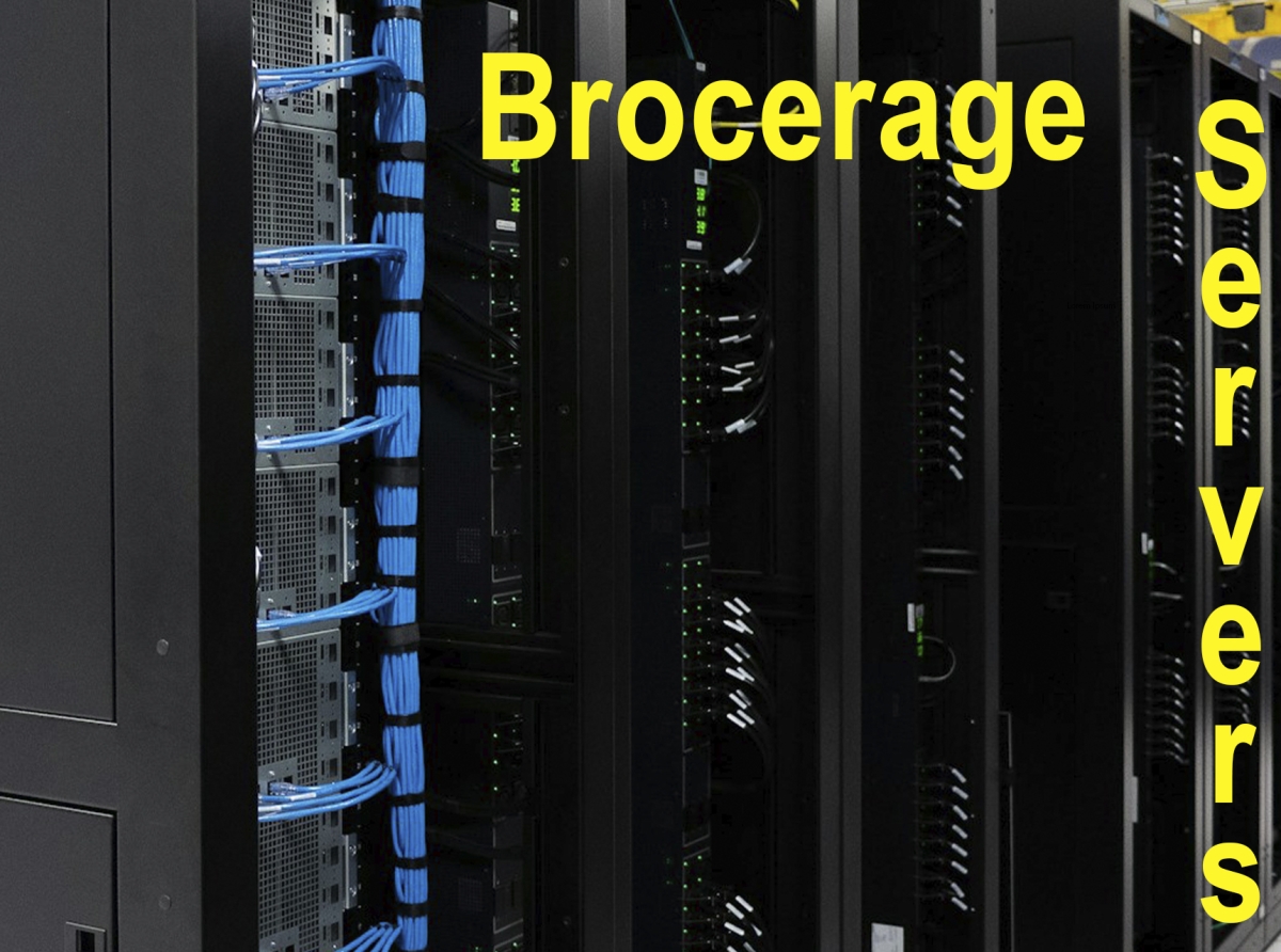 Unveiling the Crucial Role of Reliable Brokerage Servers in Achieving Forex Trading Success