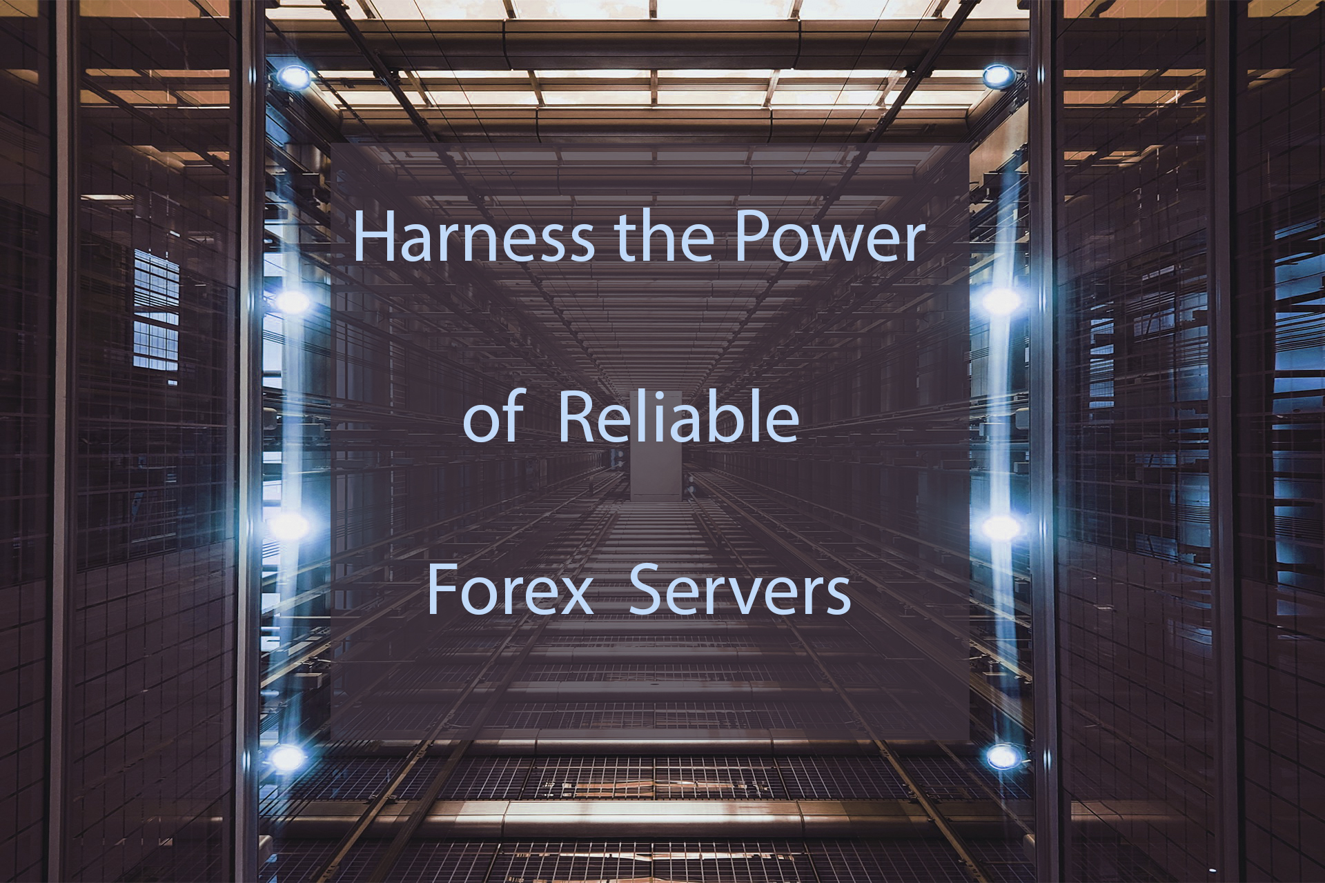 Maximize Your Trading Potential with Reliable Forex Servers