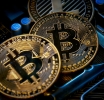 The Role of Cryptocurrencies in Developing Economies