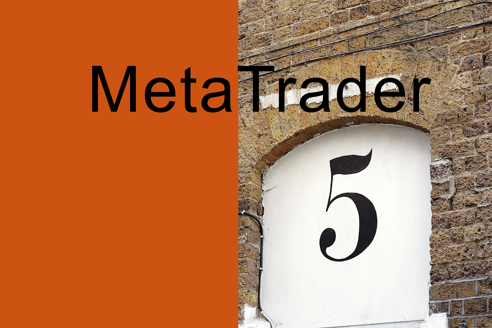 The Rise of MetaTrader 5 Turnkey Solutions in Forex Brokerage