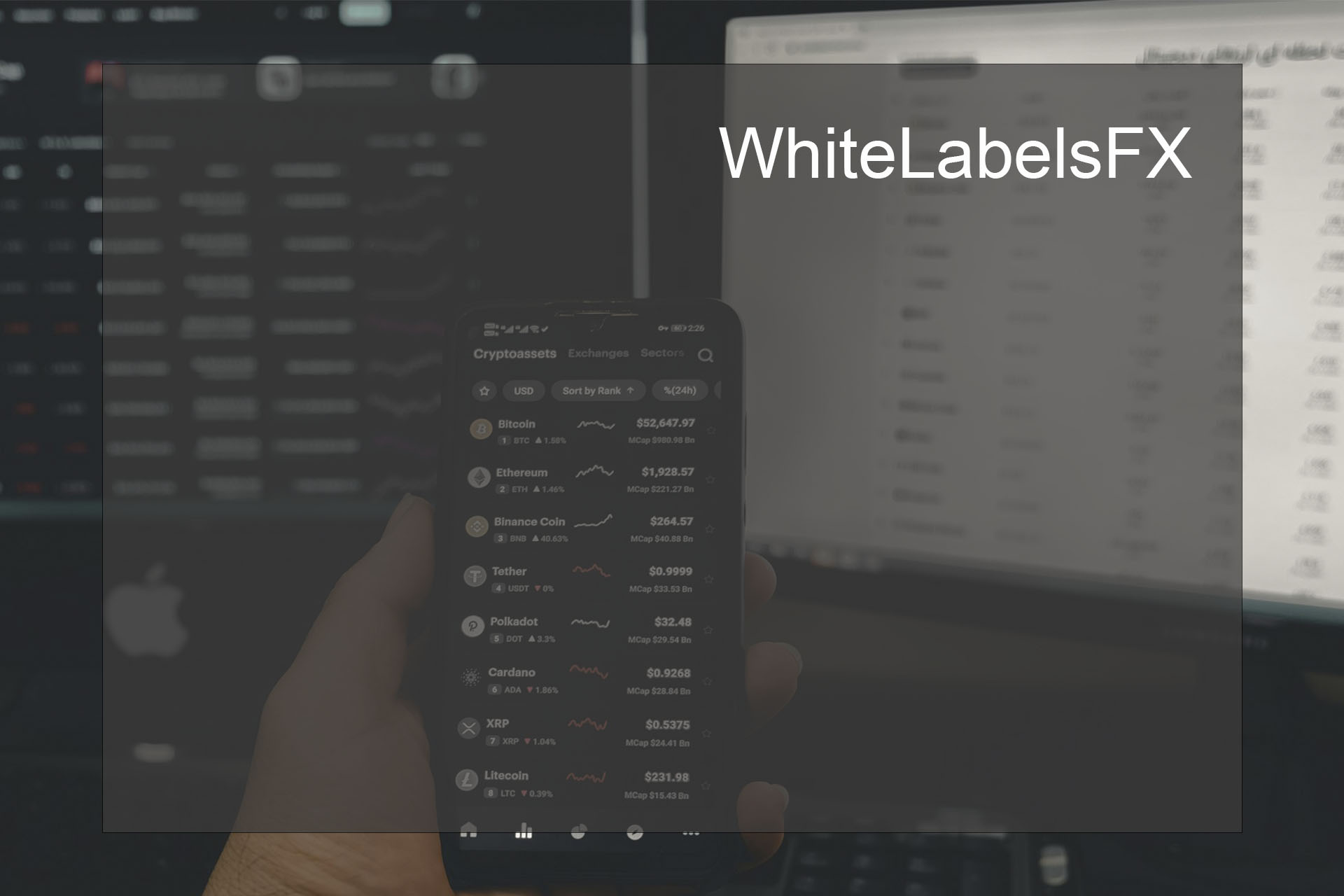 The Advantages of Using WhiteLabelsFX in Forex Trading