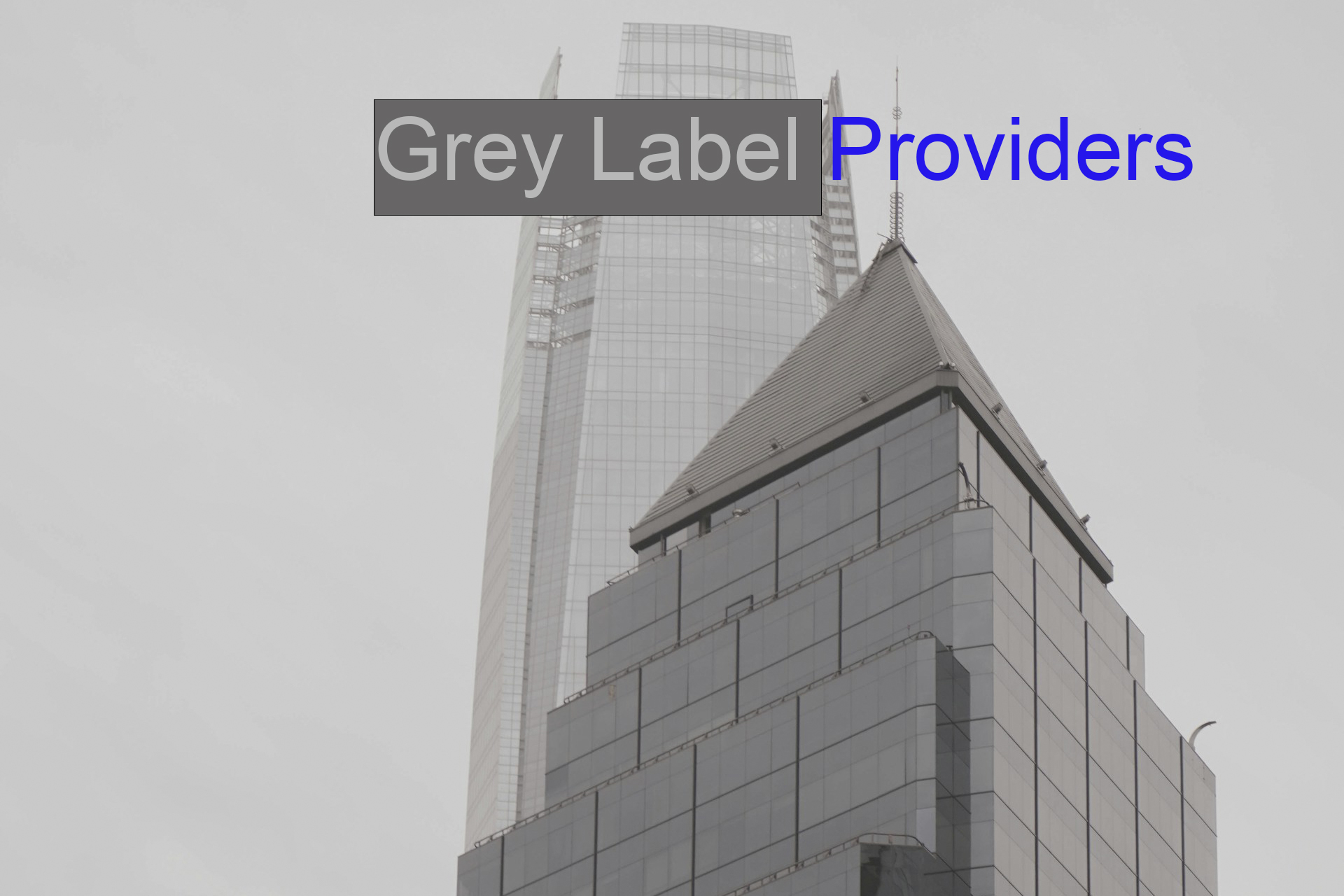 How Grey Label Providers Can Lower Entry Costs for New Brokers