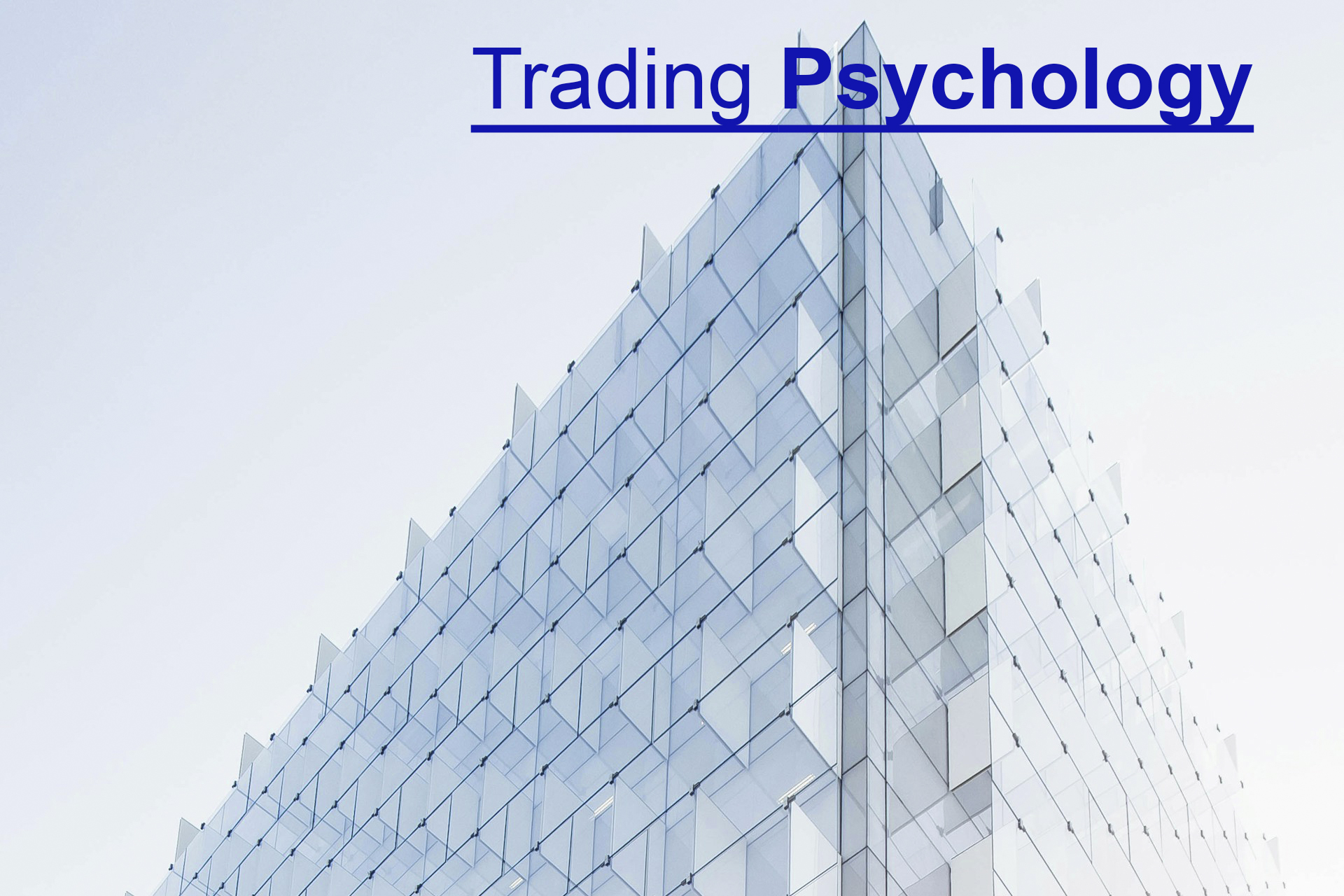 Trading Psychology 101: Building Mental Resilience in the Volatile World of Forex