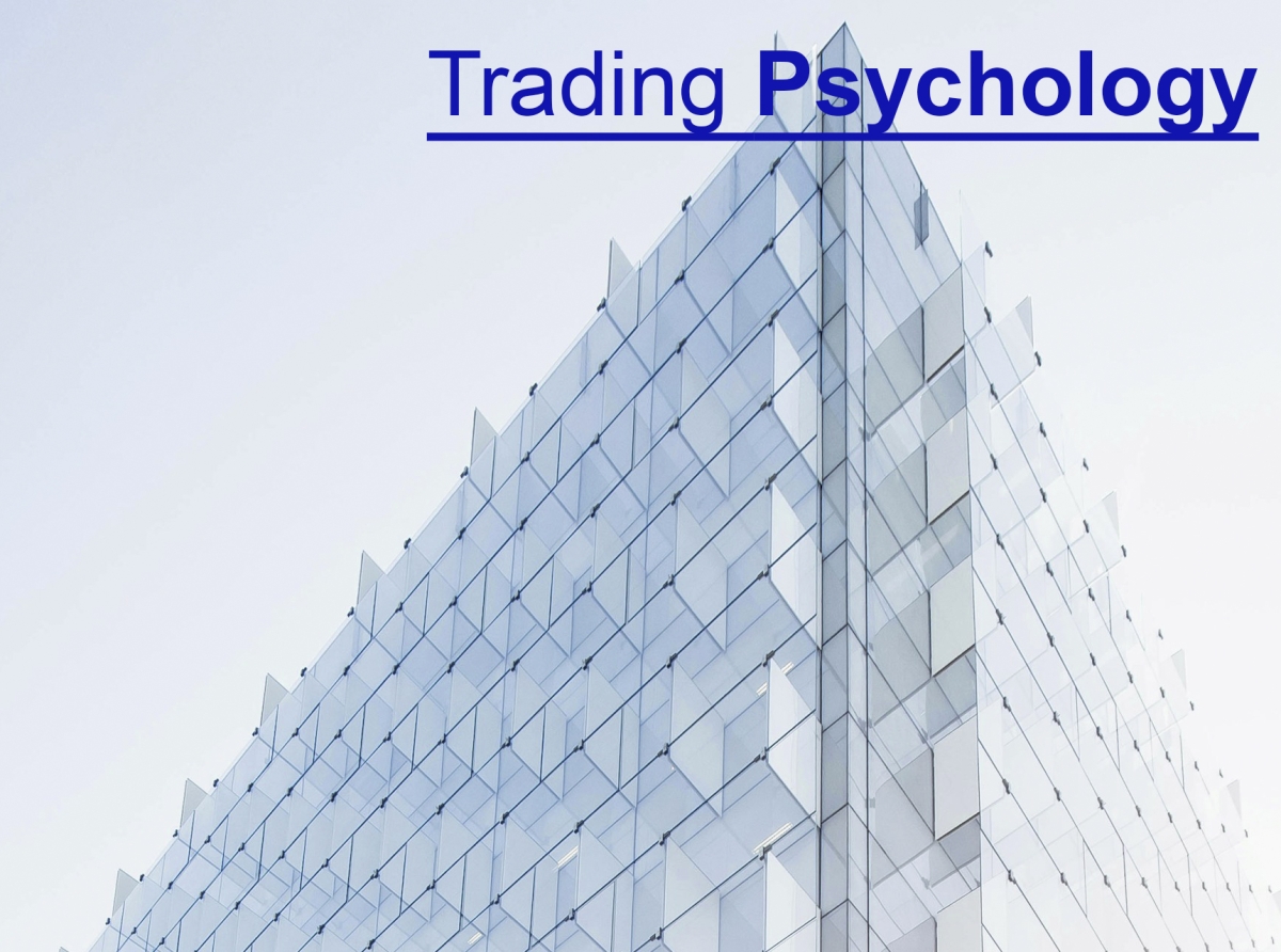 Trading Psychology 101: Building Mental Resilience in the Volatile World of Forex