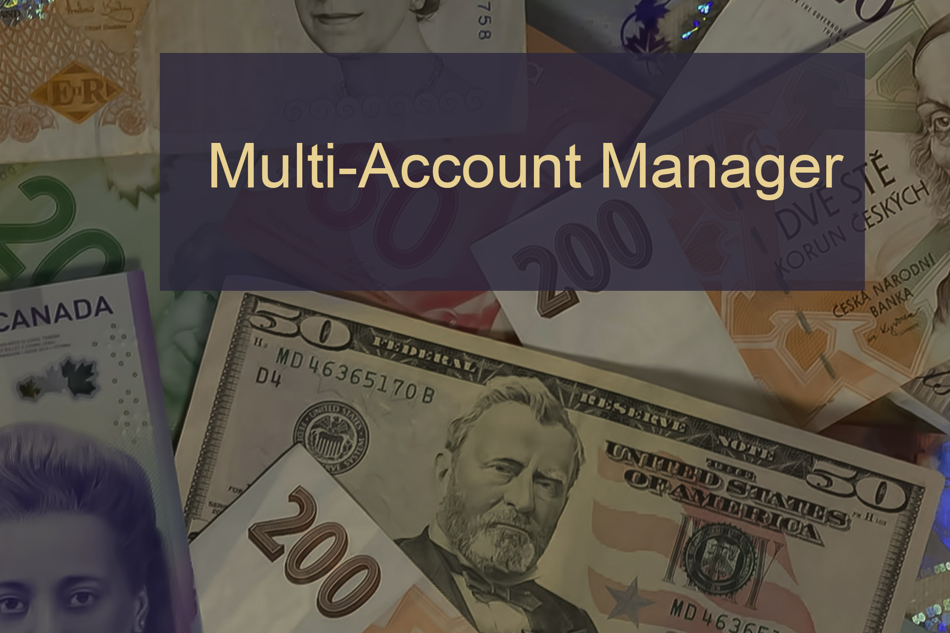 Understanding Multi-Account Manager (MAM) Software