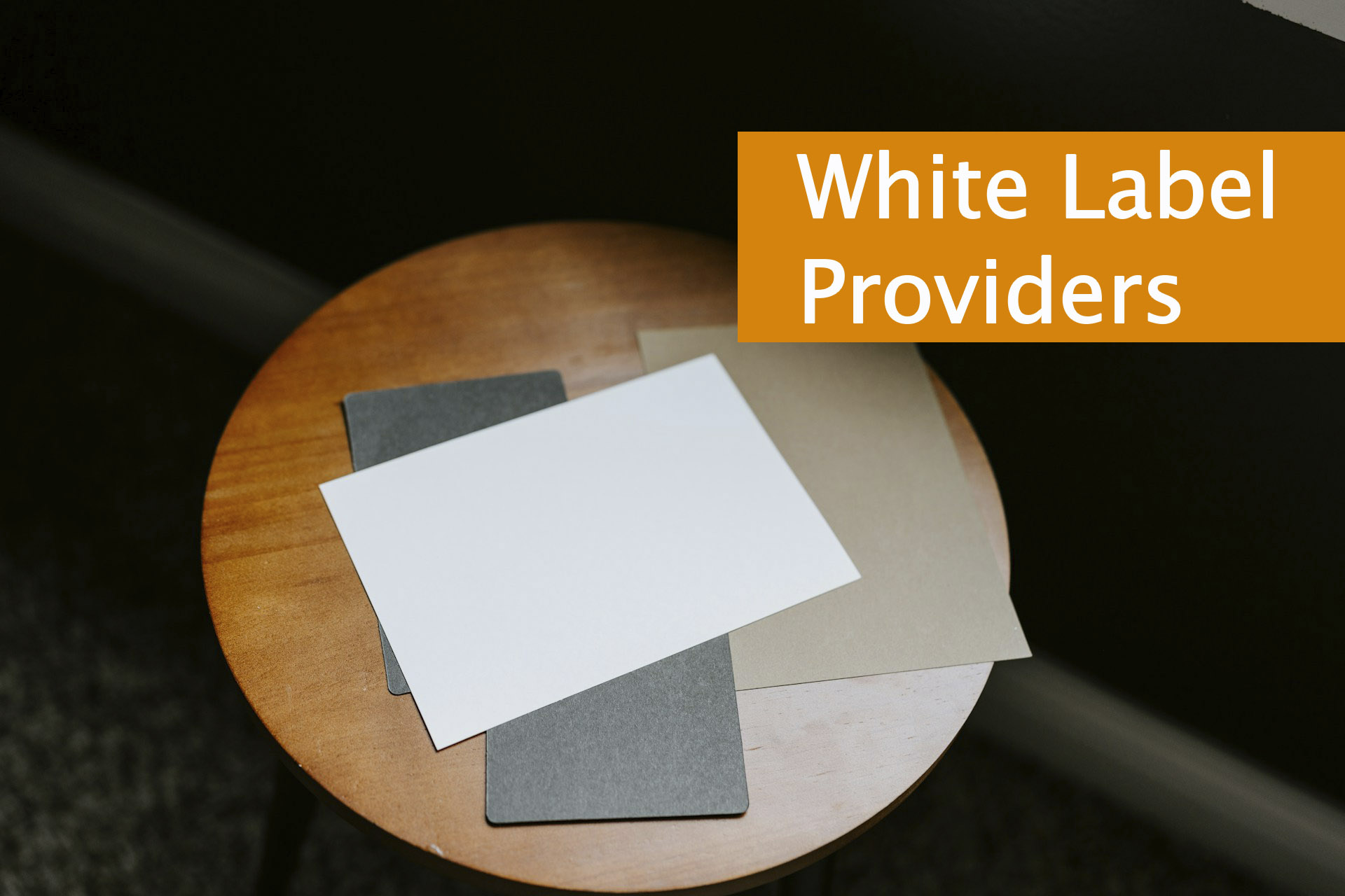 The Power of White Label Providers: Catalysts for Business Success