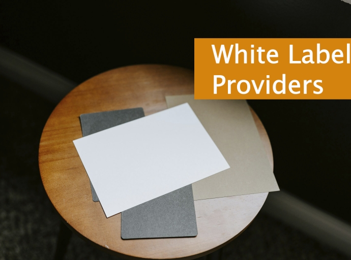 The Power of White Label Providers: Catalysts for Business Success