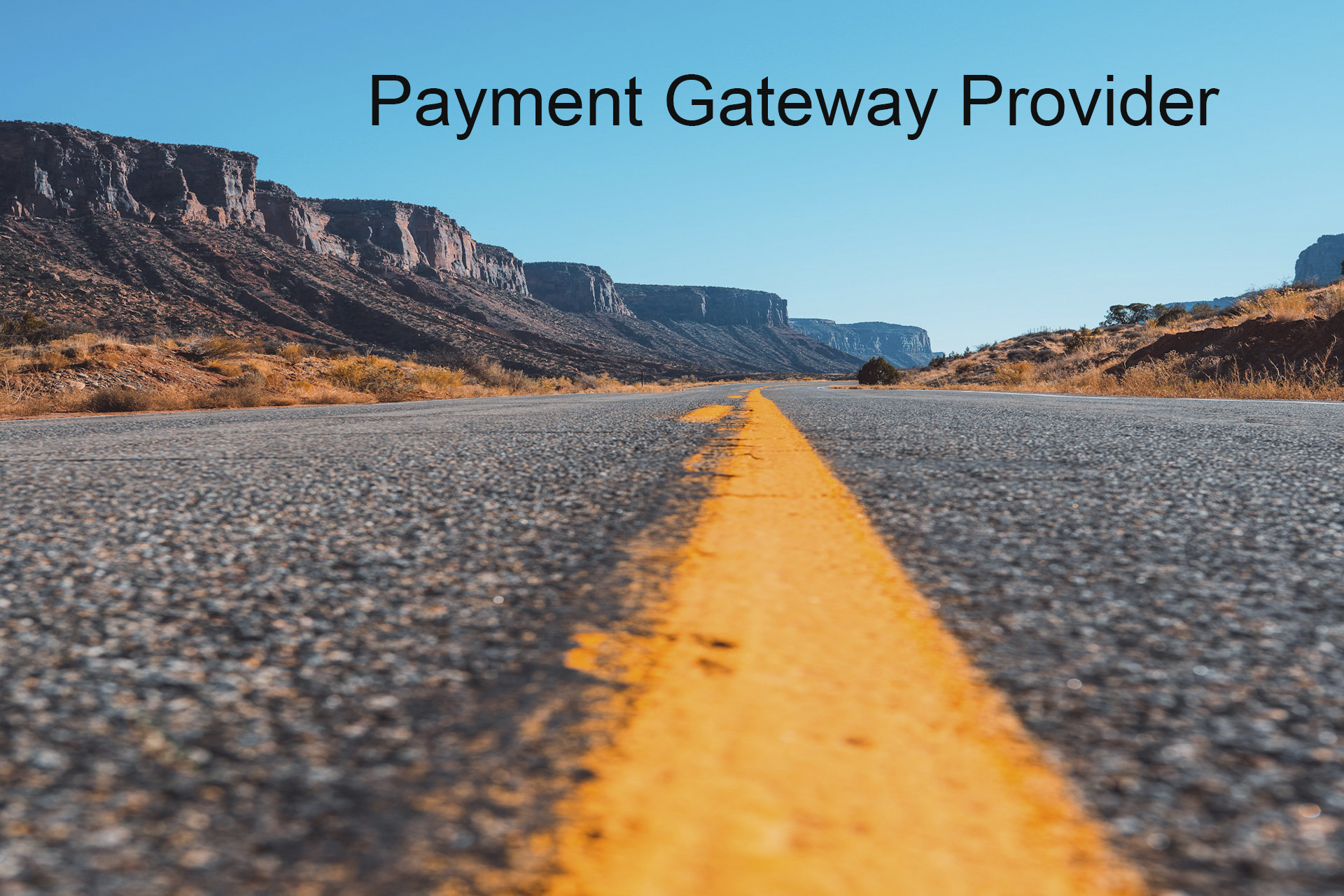 Choosing the Right Payment Gateway Provider for Maximizing Profit