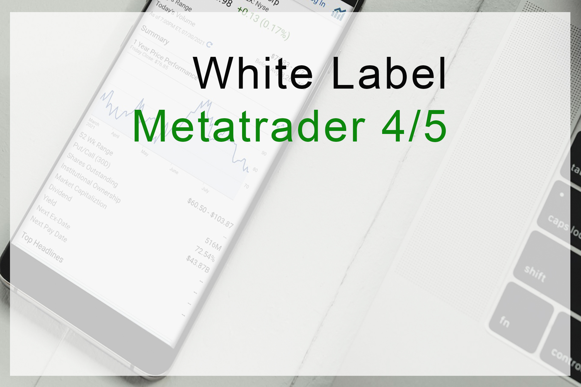 White Label Metatrader 4/5 Professional Provider