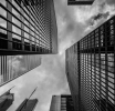 Mistakes in Forex - Market Dependency