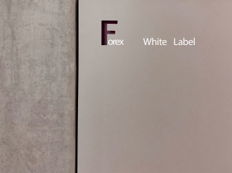 Unlocking Growth with White Label Providers: Strategies for Scaling and Succeeding in Business