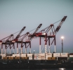 Trump’s Tariffs Trigger Nationwide Export Decline in the U.S.