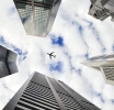White Label Solutions: A Cost-Effective Path to Building a Competitive Edge in the Forex Market