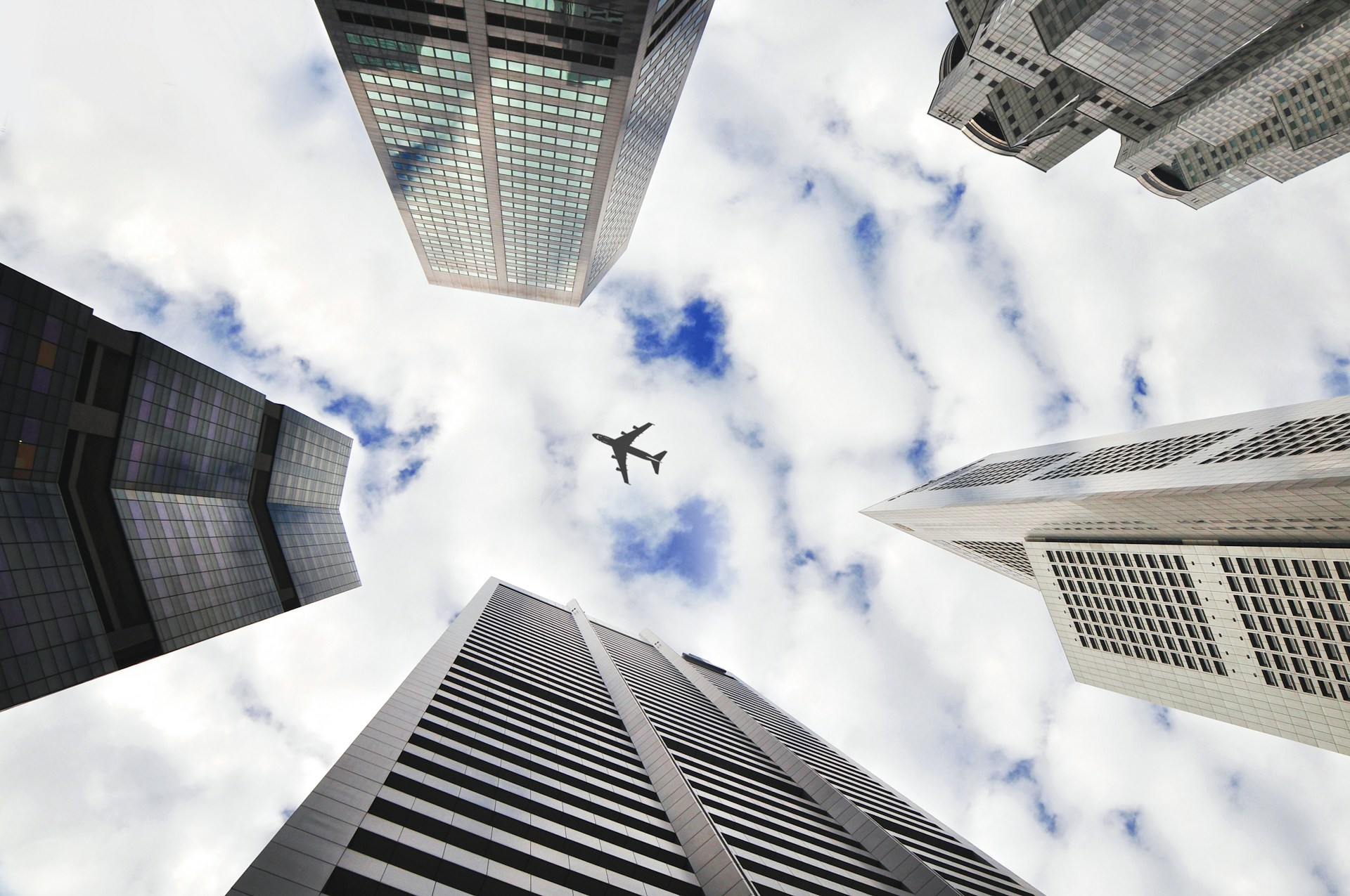 White Label Solutions: A Cost-Effective Path to Building a Competitive Edge in the Forex Market