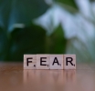 Overcoming Fear and Greed in Forex Trading