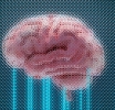Neuralink Secures $650 Million in Funding to Advance Brain-Computer Interface Technology