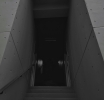 Anonymous Forex VPS