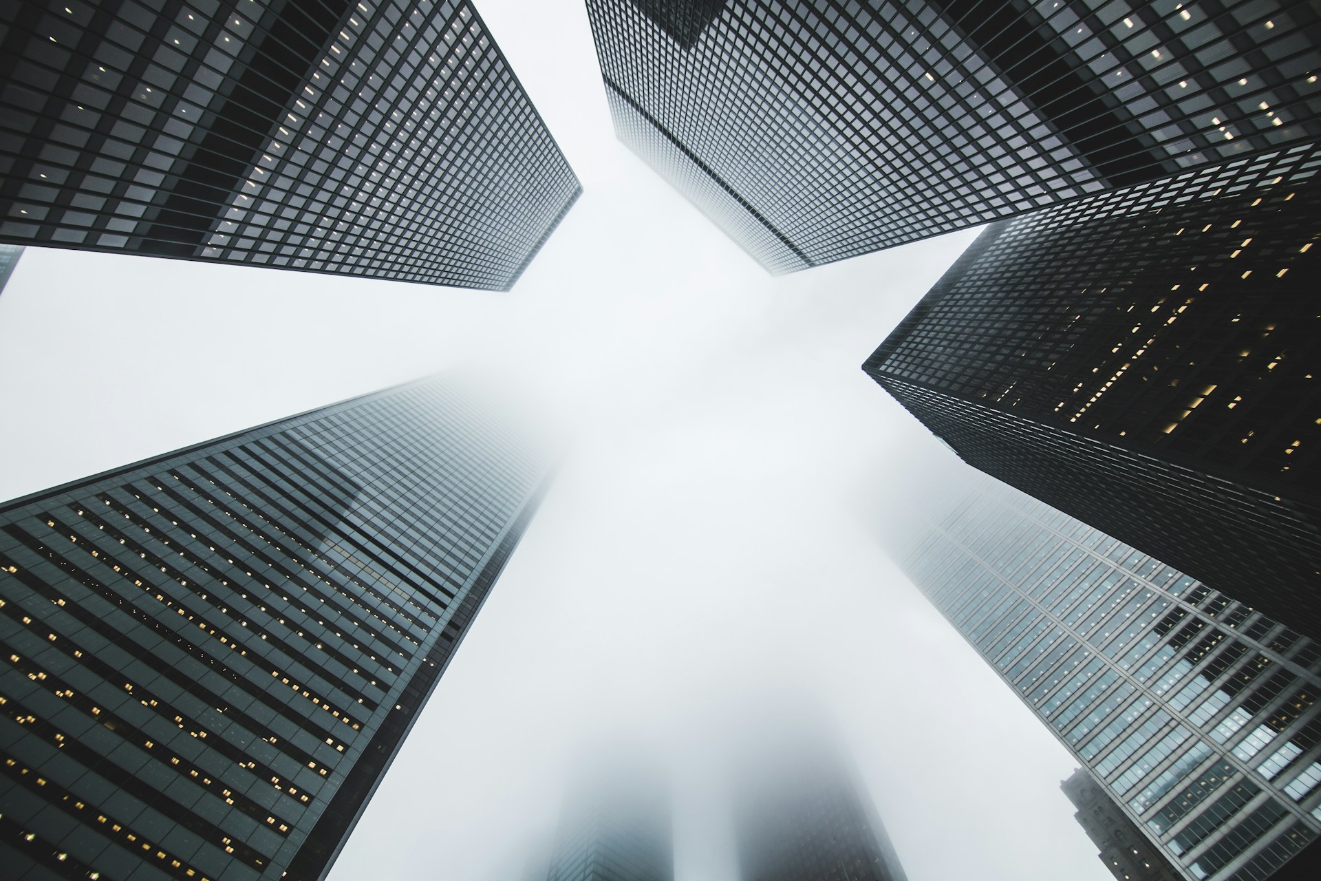 Why Grey Label Providers Are the #1 Choice for New Brokers Entering the Market Why Grey Label Providers Are the #1 Choice for New Brokers Entering the Market
