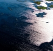 Forex and ecology: how do climate risks affect exchange rates and trading?