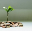 Eco Forex: How Green Investments Impact Currency Pairs