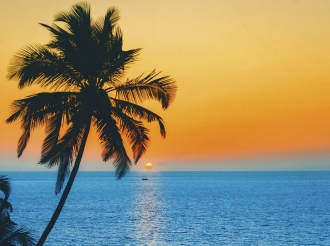 Trader's Rest: How to Reboot Your Brain and Maintain Concentration