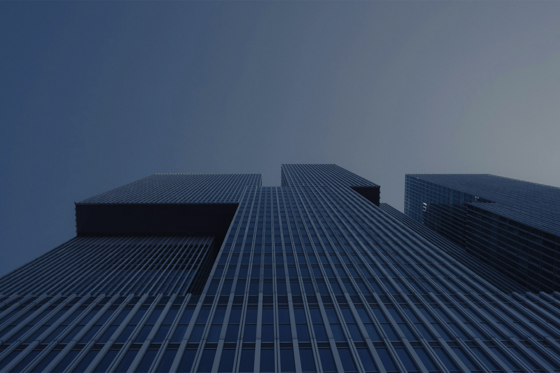 Enhancing Brokerage Services with MT5 Grey Label Enhancing Brokerage Services with MT5 Grey Label