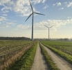 Eco-Gateways for Forex: Green, Carbon-Free Trading