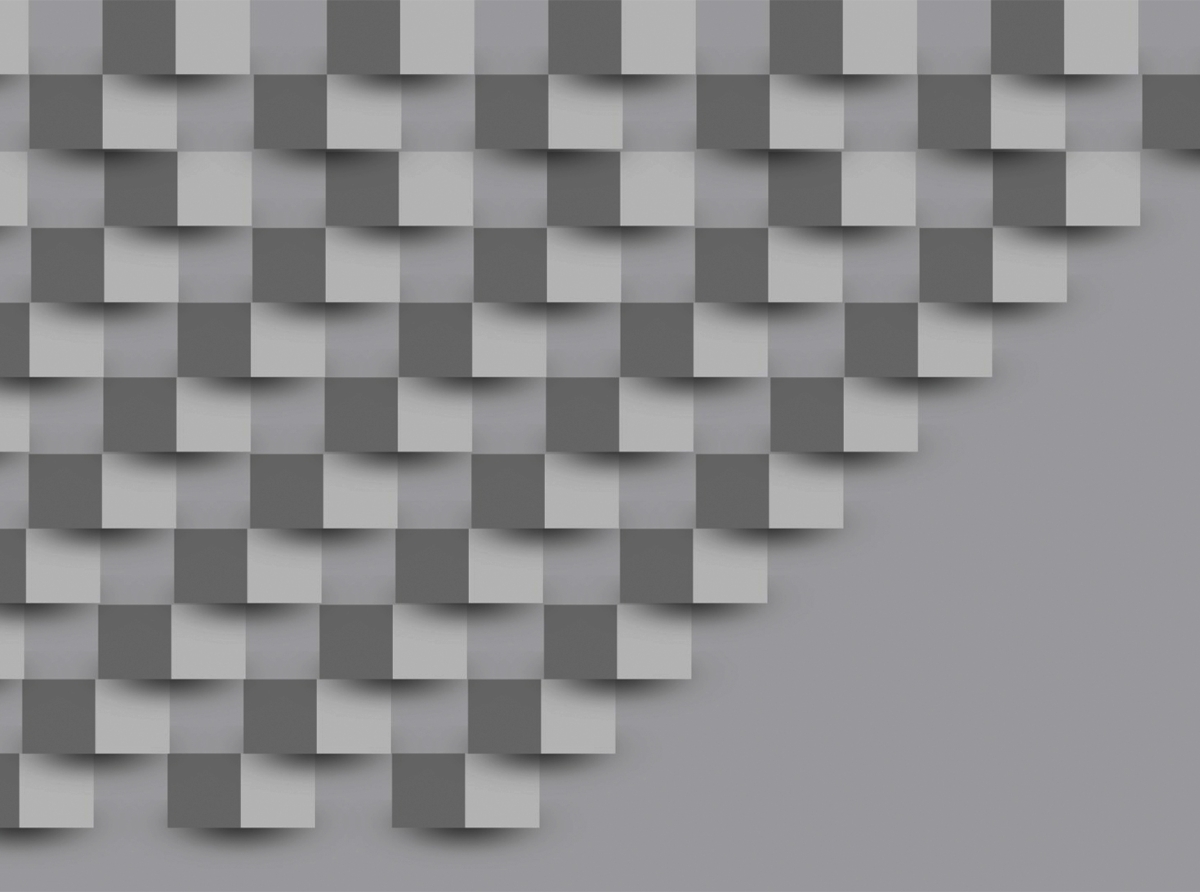 White Label MetaTrader 5: How MT5 Solutions Help Companies Enter the Market Faster and More Affordably