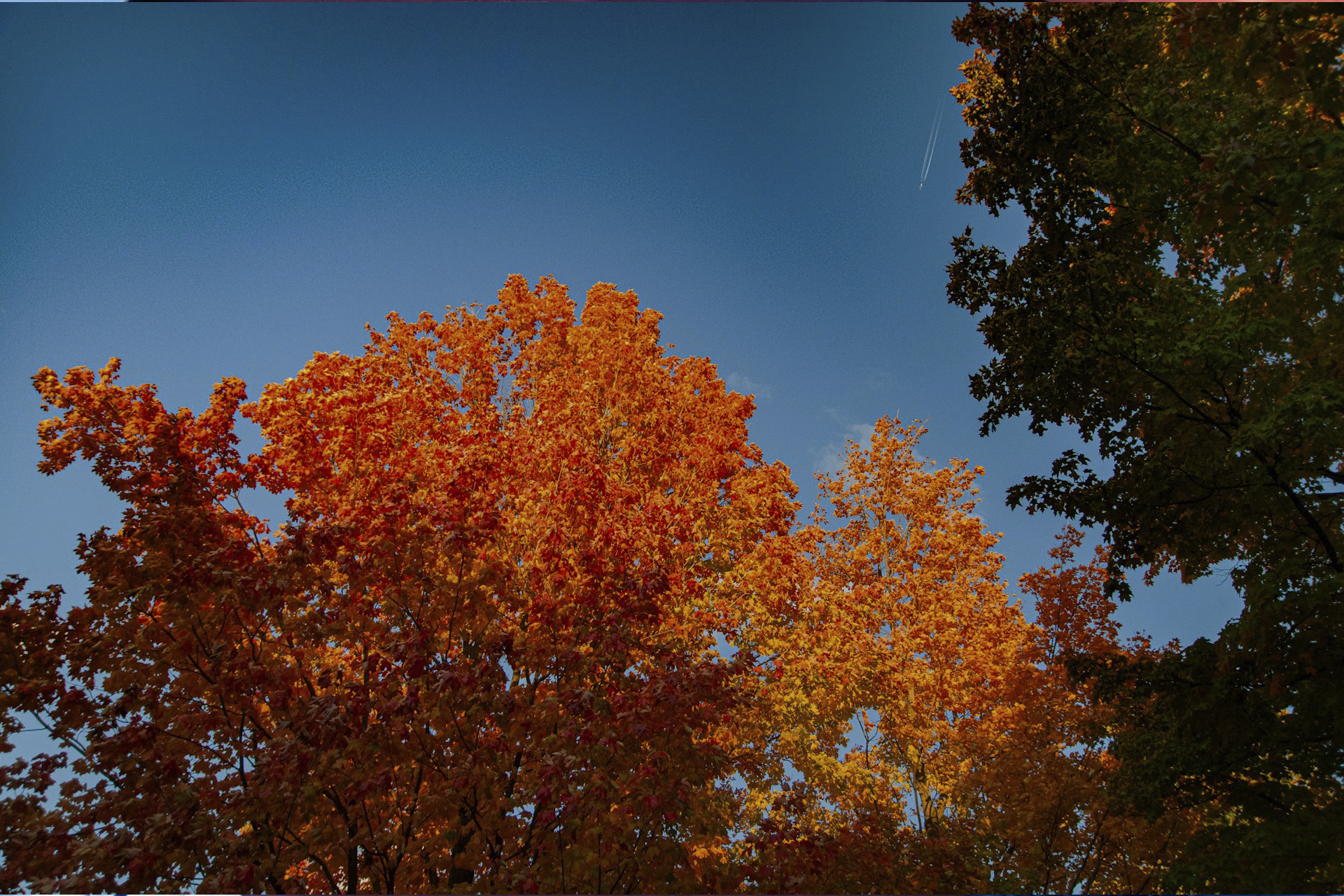 Forex Seasonal Trends: How Holidays, Harvests, and Weather Cycles Move Currencies Forex Seasonal Trends: How Holidays, Harvests, and Weather Cycles Move Currencies