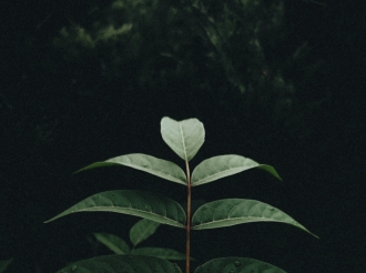 Eco-Friendly CRM: ESG Metrics in MT4 as a New Standard for Green Brokers