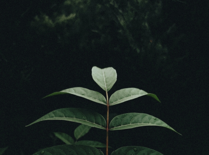 Eco-Friendly CRM: ESG Metrics in MT4 as a New Standard for Green Brokers