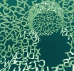 Emotional Traps That Destroy Trading Accounts