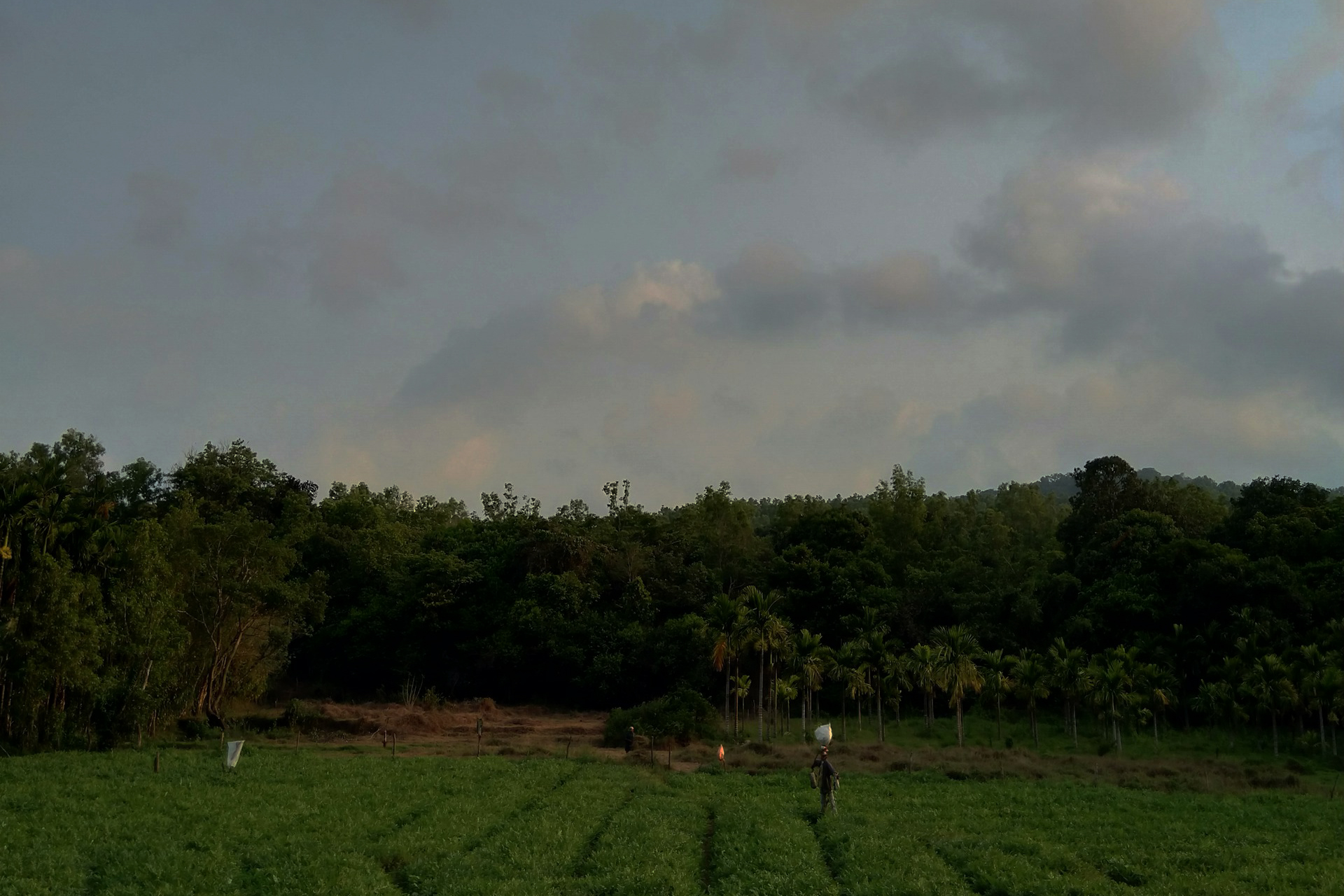 US-India Trade Deal at Risk: 5 Major Obstacles That Could Derail the $500B Agreement