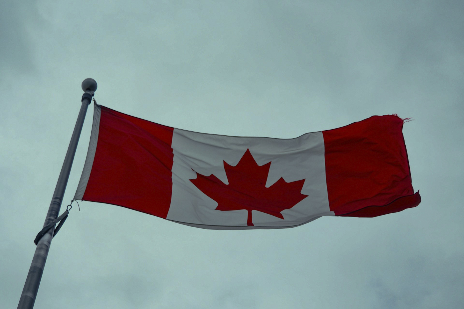 House Votes to Override Trump’s Canada Tariffs: What It Means for U.S.–Canada Trade and Political Risk