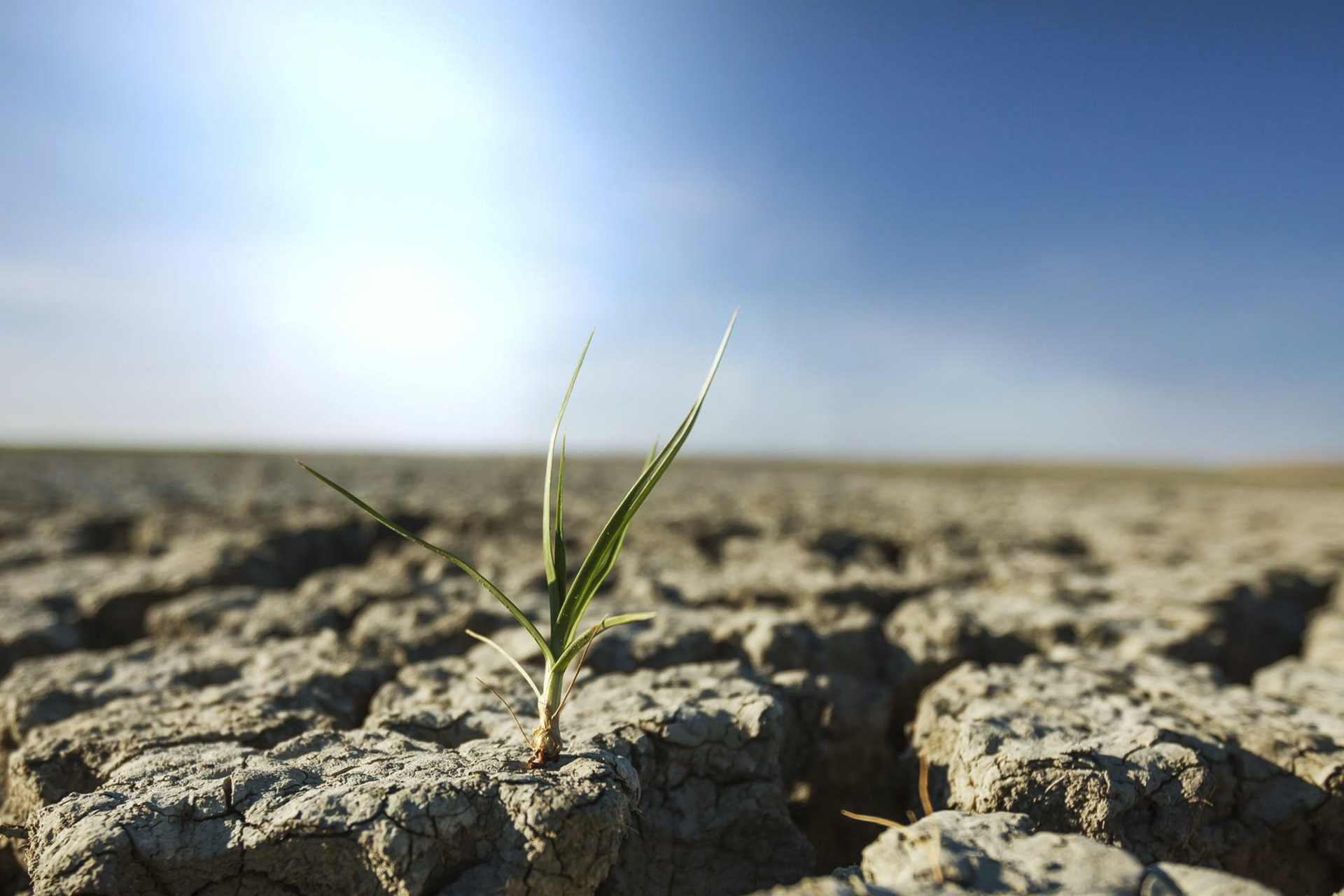 Fertilizer Supply Shock 2026: How the Iran Conflict Threatens Global Food Security