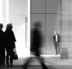 Forex Communities: How Shared Experience Opens the Path to Financial Success
